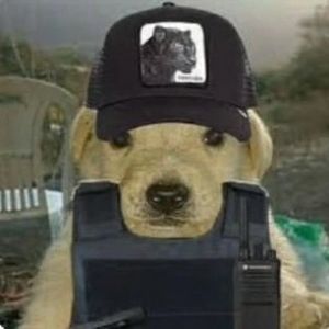 Meet your Posher, Abel